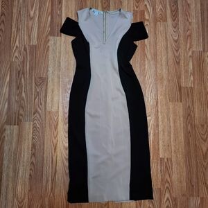 Elegant Black and Tan Dress